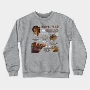 Animal Facts - Elephant Shrew Crewneck Sweatshirt